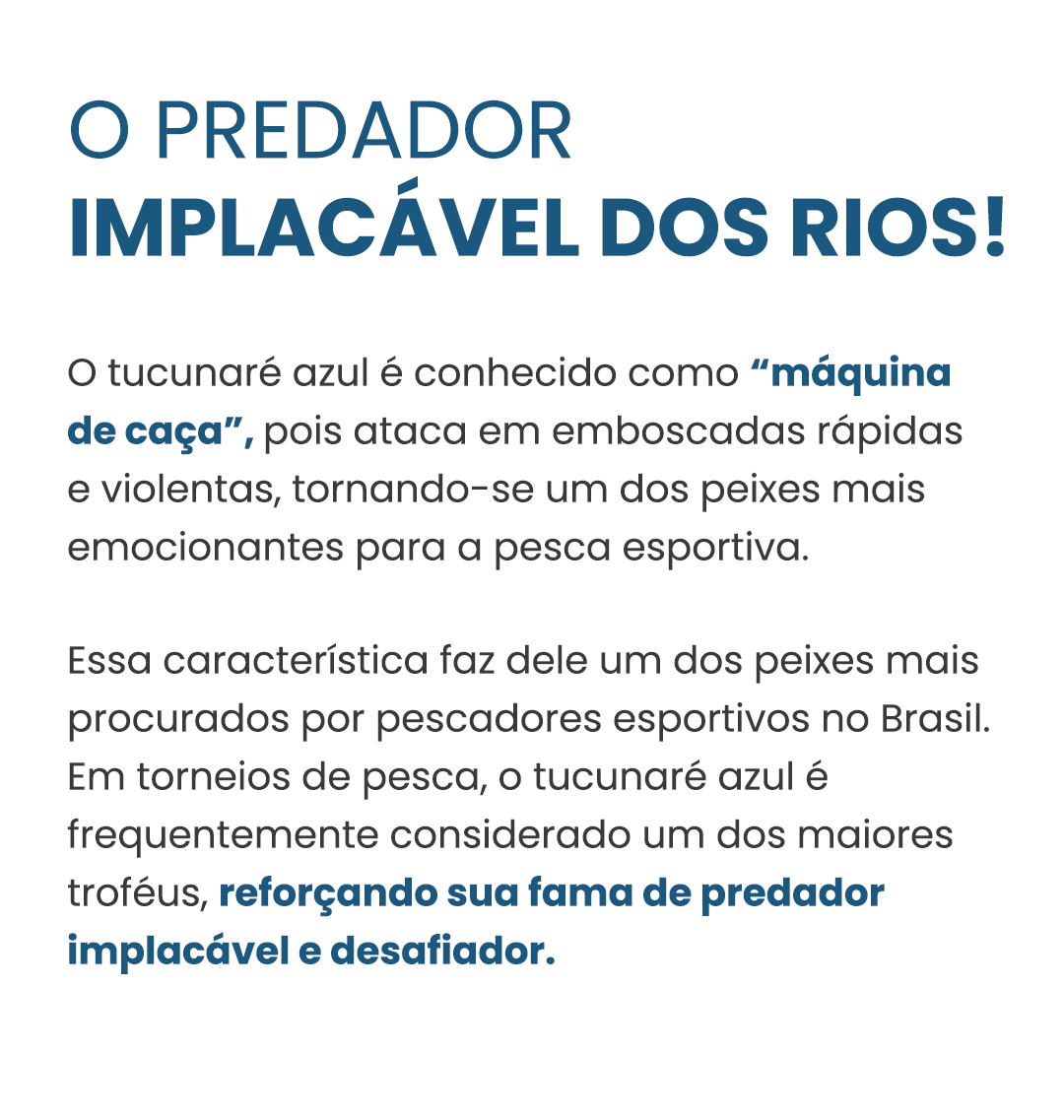 Curiosidade#001cichlapiquiti