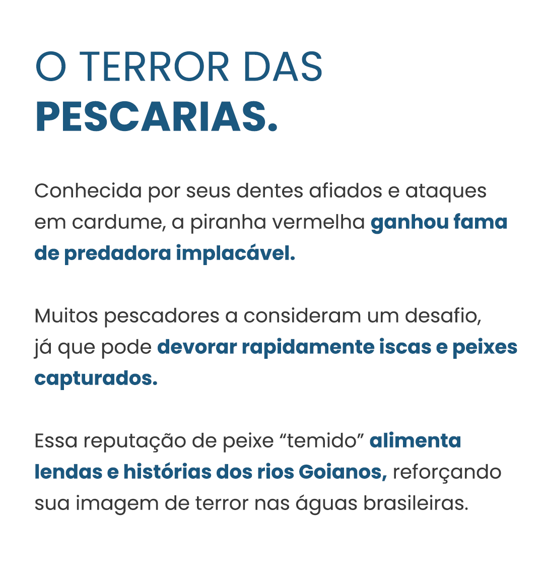 Curiosidade#01-piranha