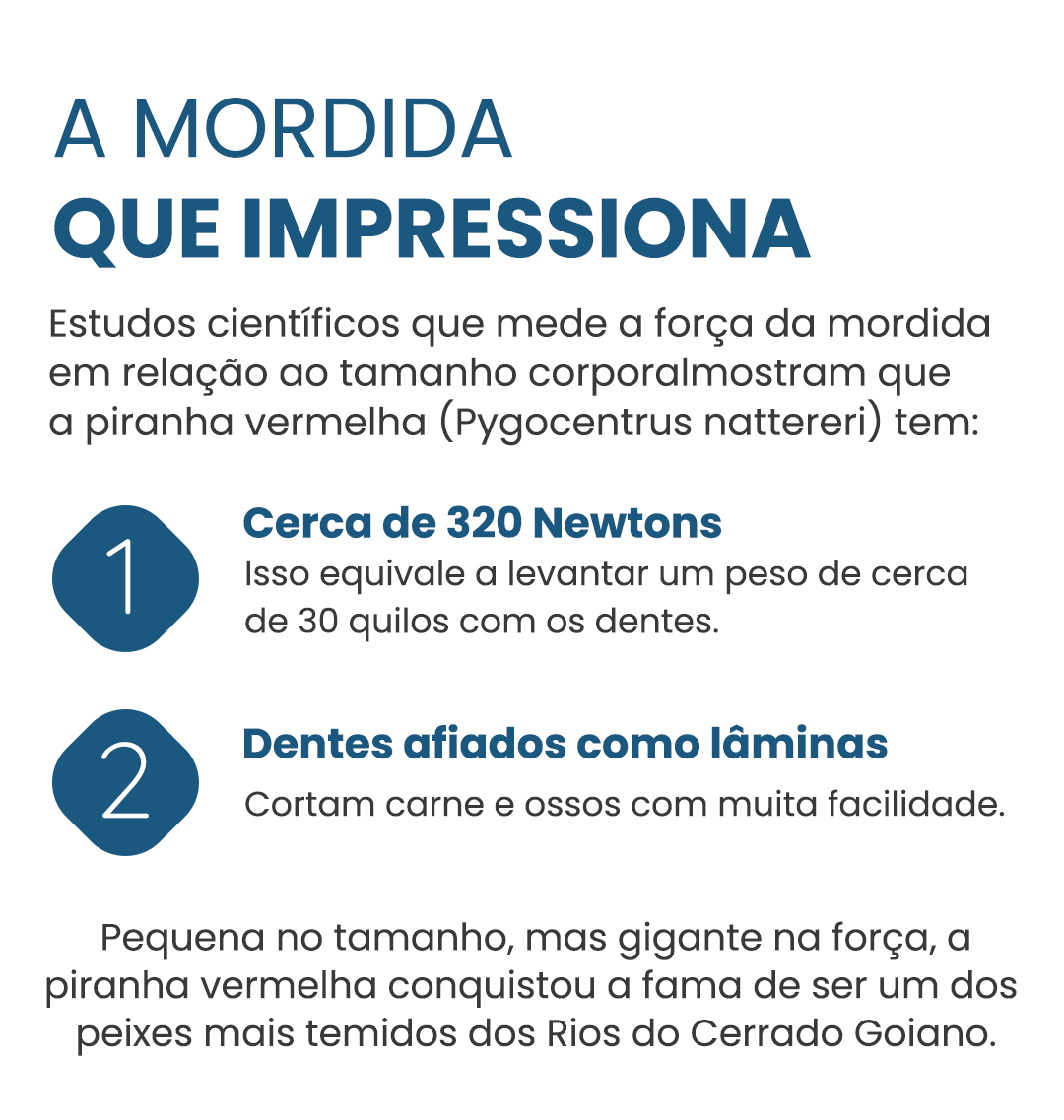 Curiosidade#3-piranha