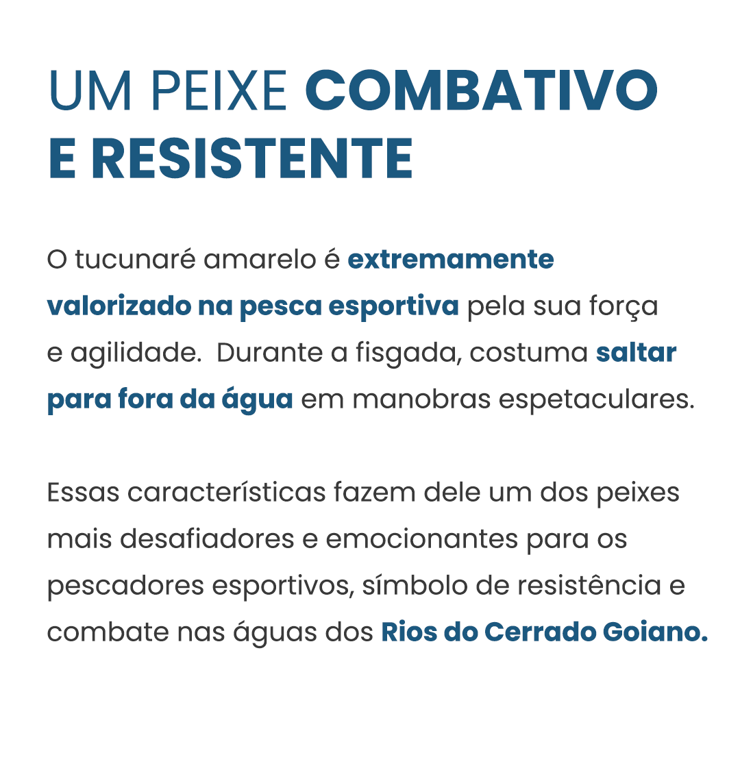 Curiosidades1-cichlaocelarris