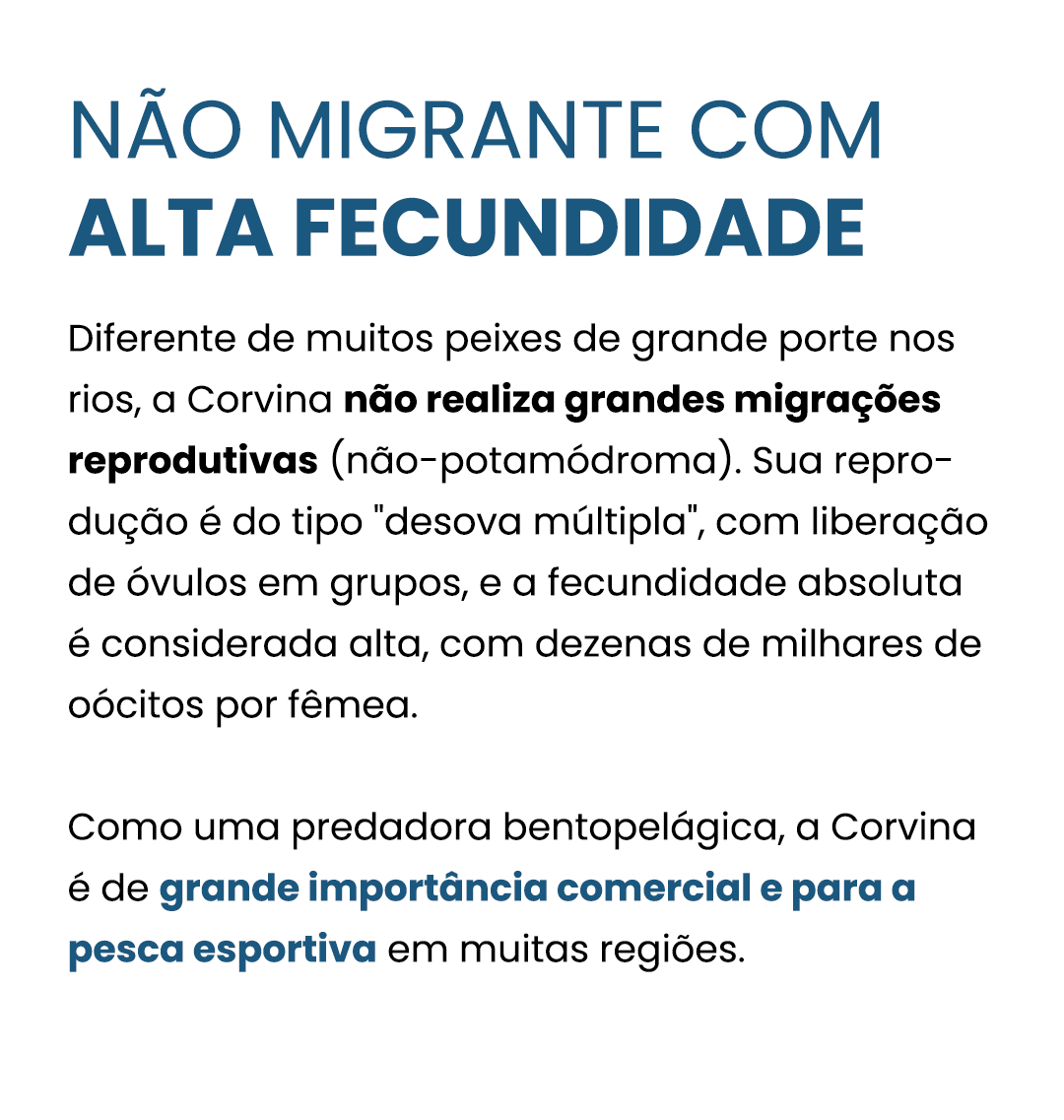 Corvina-curiosidade-02