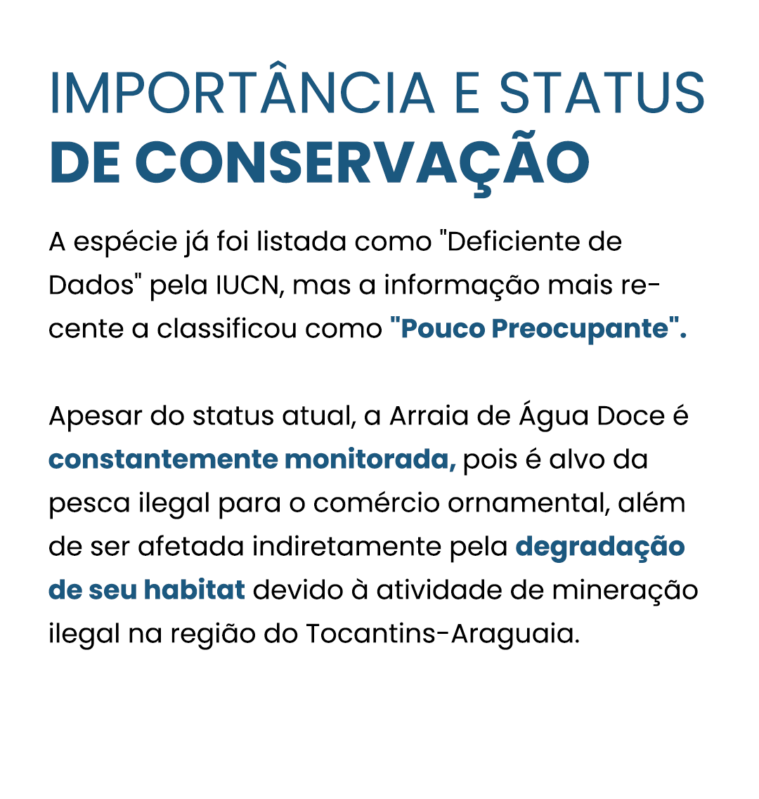 arraia-curiosidade-02