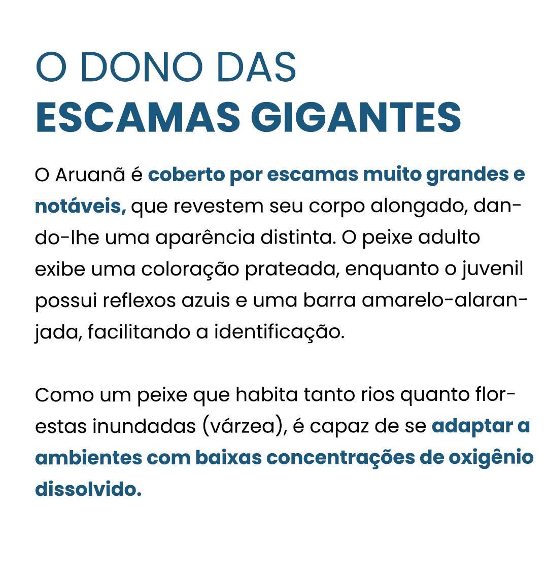 aruana-curiosidade-1