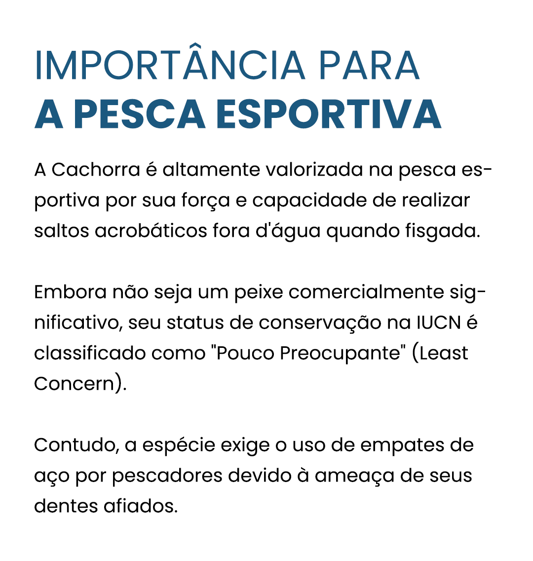 cachorra-curiosidade-02