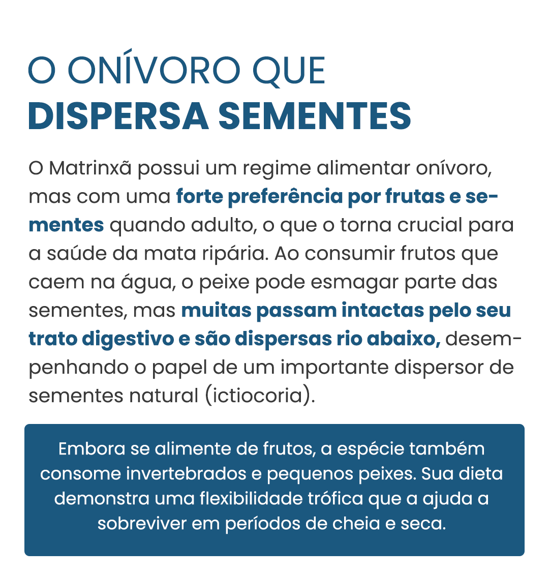 matrinxa-curiosidade-01