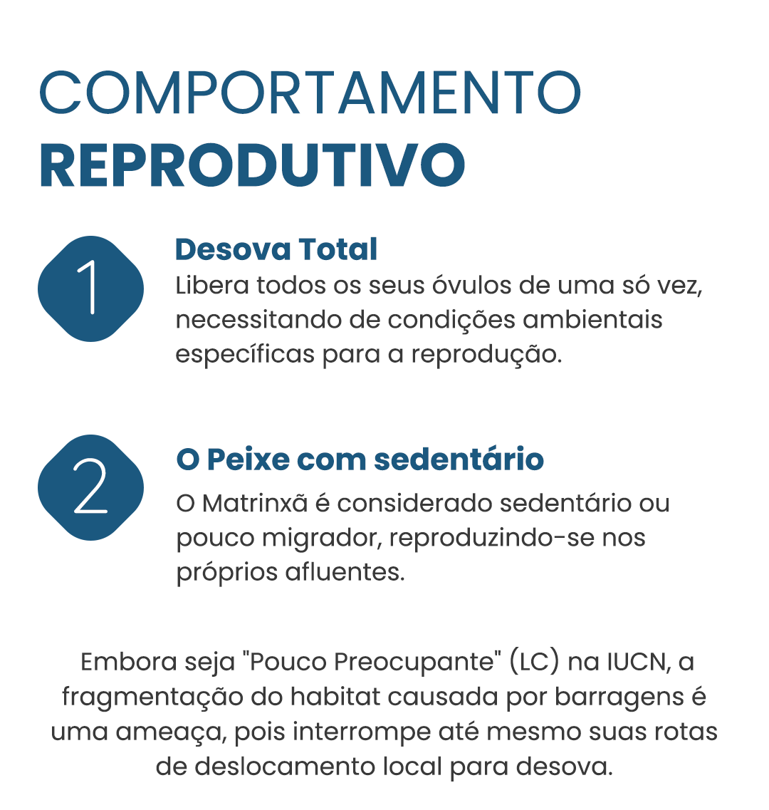 matrinxa-curiosidade0-03