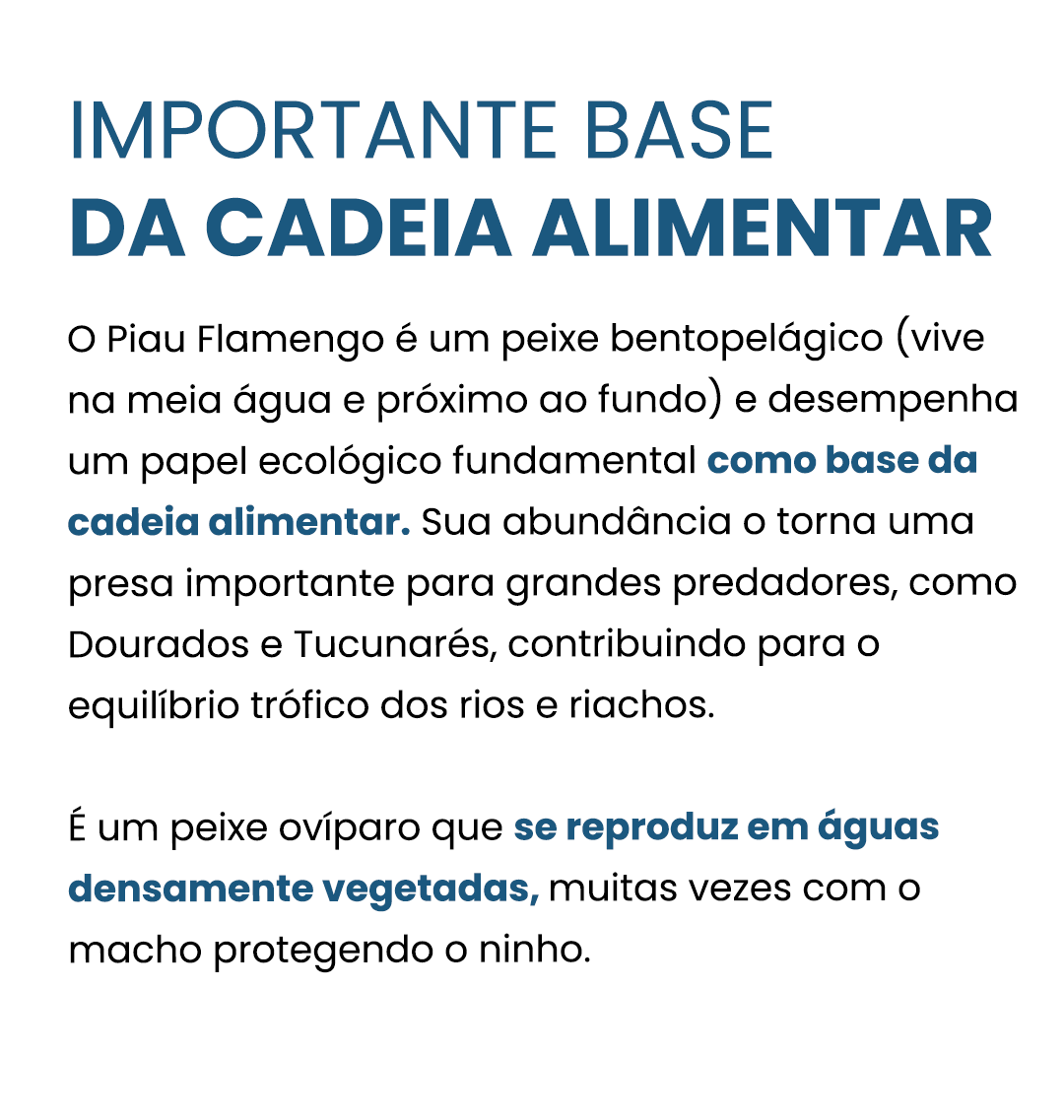 piauflamengo-curiosidade-01