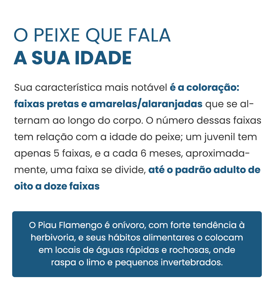 piauflamengo-curiosidade-02